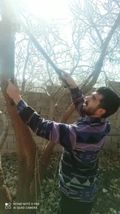 سم پاشی و خدمات گل و گیاه نودهانی 5