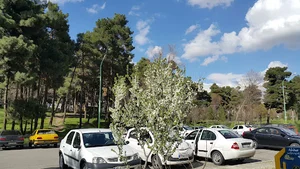 شهرک شهید رجایی