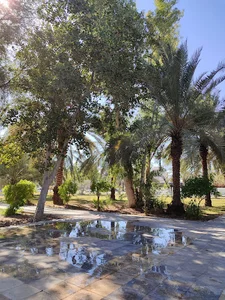 دانشگاه علوم پزشکی