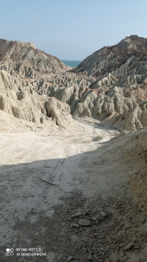 بوستان دانشگاه