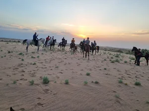باشگاه سوارکاری شمس