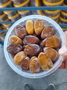 فروشگاه خرما و رطب برادران کیانی