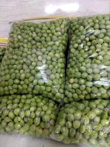 فروشگاه گیلانه