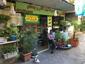 کفاشی علی