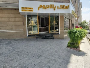 گروه مشاورین و سرمایه گذاری پالادیوم