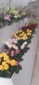 گل سلطان 2