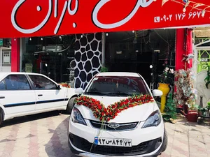 گلسرای باران