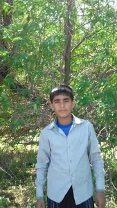 پارک مثلث کوت نواصر