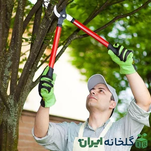 باسکول و ایستگاه خرید چوب حق بین
