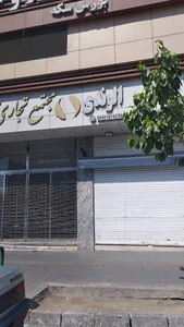 پتشاپ بینگو
