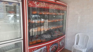 آرتا پروتئین (لطفی)