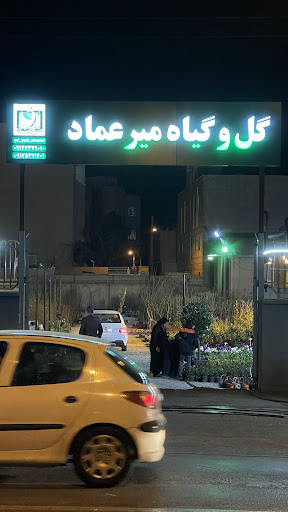 گل و گیاه میرعماد