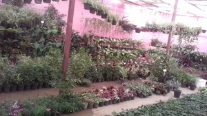 مجموعه باغ بهشت