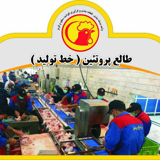 کارخانه قطعه بندی ،بسته بندی ،گوشت سفید وقرمز طالع پروتئین