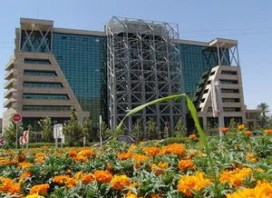 دانشگاه علوم پزشکی شیراز