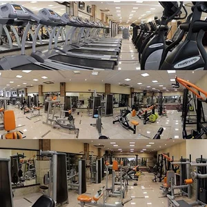 باشگاه بدنسازی پایا
