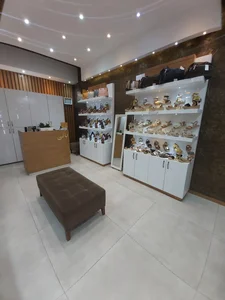 کفش بالی