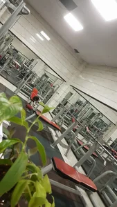 باشگاه بانوان رکورد