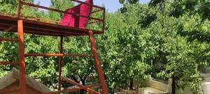 رستوران باغ بهشت
