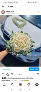 گل فروشی آراگل 2