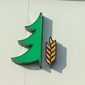 سرو تجارت مهرزاد