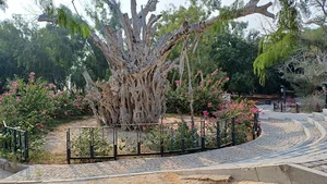 درخت سبز