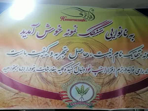 نانوایی سنگک 2