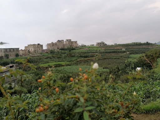 رازح