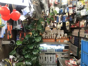الکتریکی جبلی