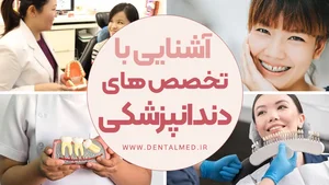 دکتر مجتبی زند رحیمی