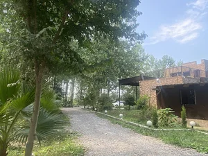 باغ میجان