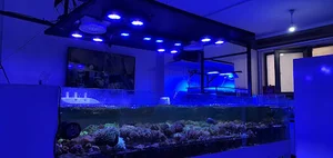 GoldenReef گلدن ریف