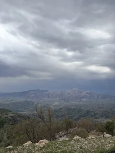 سالند سردشت