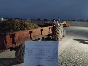 باسکول ۵۰ تن