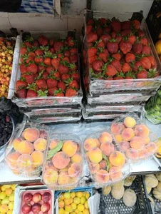 میوه سرای ابوالفضل