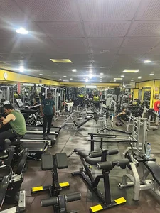 باشگاه بدنسازی نیادوست - فرهنگ شهر