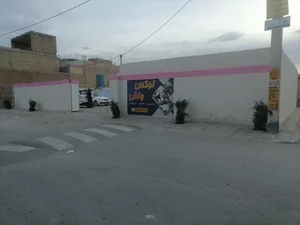 کارواش لوکس واش 2