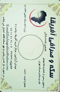 سکه صراف آفریقا 2