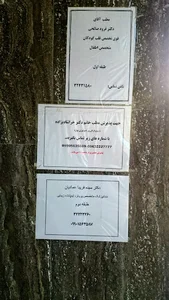 Bahar Medical Imaging Center