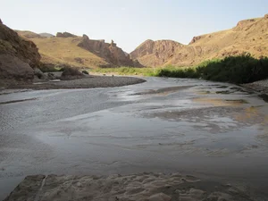 دندی