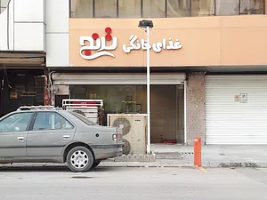 غذای خانگی ترنج