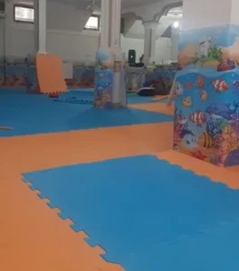 باشگاه ورزشی شادینو