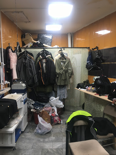 تربیت