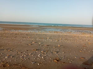 بوستان ساحلی هامون