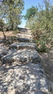 بوستان قائم 5