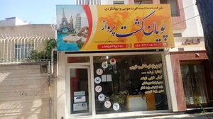 پویان گشت