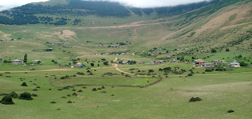 فرزاد زرین‌قبا