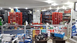 الکتریکی کیمیا