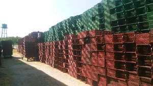 سردخانه حسن نژاد