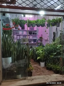 گلسرای بهشت اصفهان